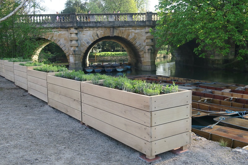 oak planters for the Botanic Gardens in
                      Oxford